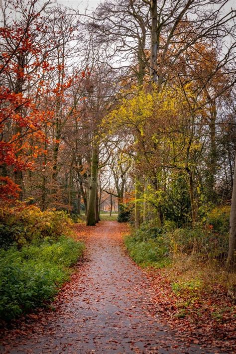 Beautiful Colors of Park in Autumn Fall Season Portrait Orientation Stock Photo - Image of ...