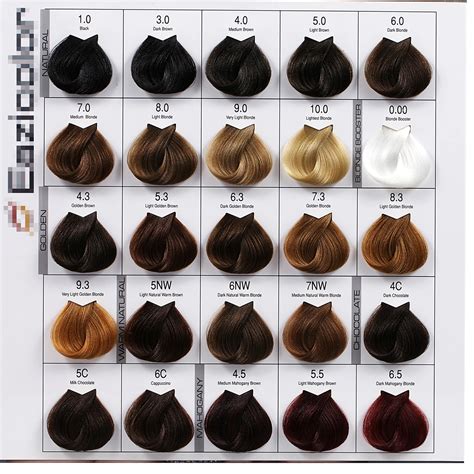 Hair Color Chart Shades