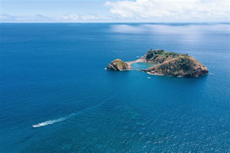 Embark on a Whale & Dolphin Watching Experience in the Azores