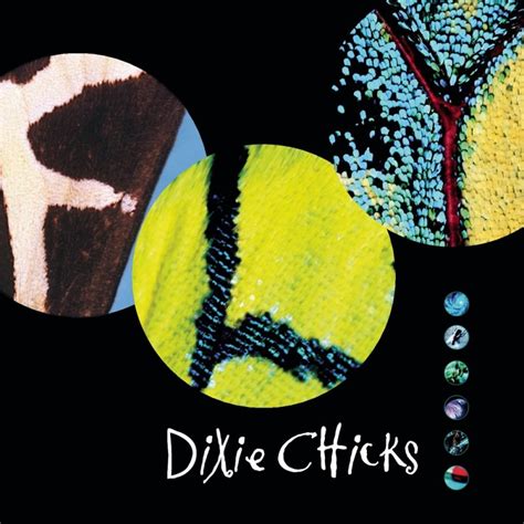 Dixie Chicks - Fly (1999) - MusicMeter.nl