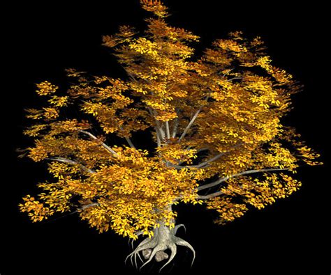 ArtStation - American Beech Fall Tree | Resources