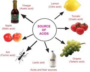 Classification of Acids according to its strength (degree of ionization), Its source & Basicity ...