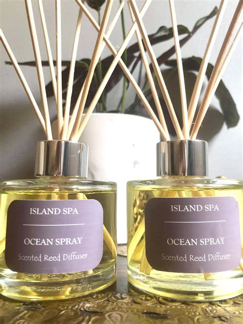 Luxury Highly Scented Reed Diffuser 100ml Reed Diffuser | Etsy