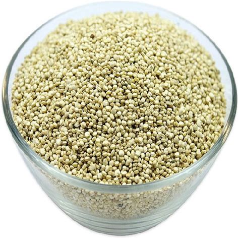 Quinoa Seeds by Palak Enterprises, Quinoa Seeds, INR 0 / ( Approx ) from Gwalior | ID - 5594540