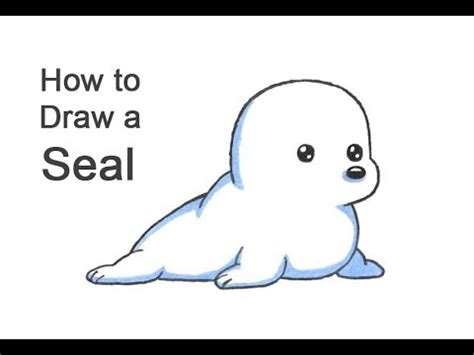 How to Draw a Seal (Cartoon) - YouTube