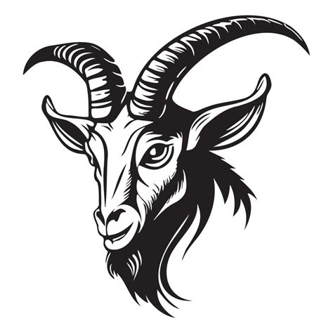 head of goat vector illustration, goat logo 22665743 Vector Art at Vecteezy