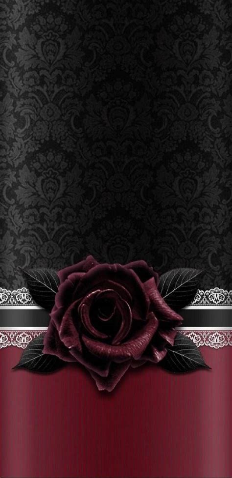 Download A Black And Red Rose On A Black Background Wallpaper ...