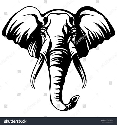 Elephant Vector Black And White Images: Browse 30,115 Stock Photos ...