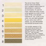 urine color chart clear youve been drinking too much water cut back - urine colour yarana ka ...
