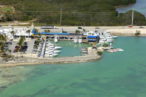 Whale Harbor Marina in Islamorada, FL, United States - Marina Reviews - Phone Number - Marinas.com