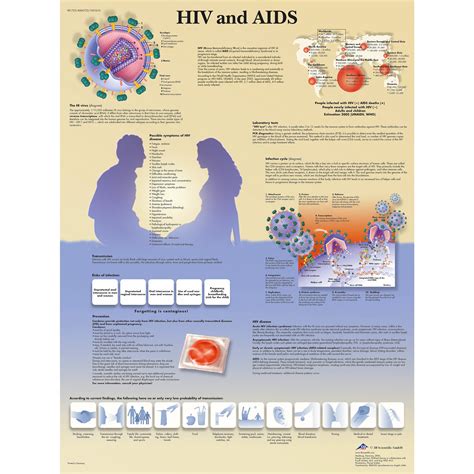 3B Scientific HIV and AIDS Chart