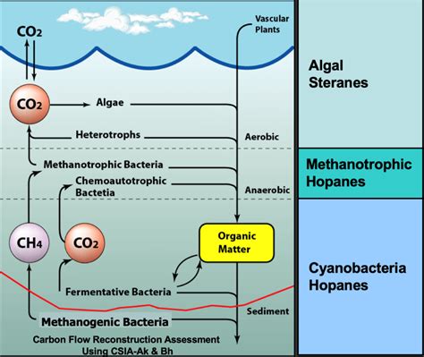 Oil & Gas Geochemistry - Brazil Petroleum Studies