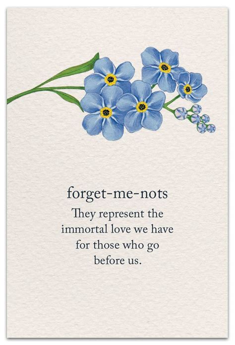 Vergissmeinnicht forget me not | Flower quotes, Flower meanings, Words