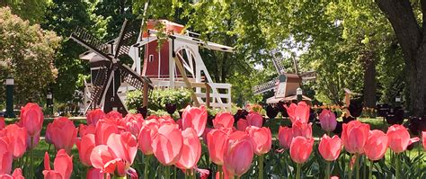 Orange City Tulip Festival – Vibrant Orange City, Iowa