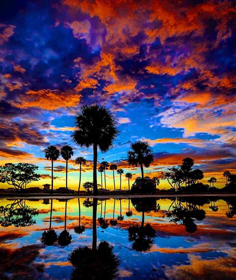 Florida Sunset iPhone Wallpapers - Top Free Florida Sunset iPhone ...