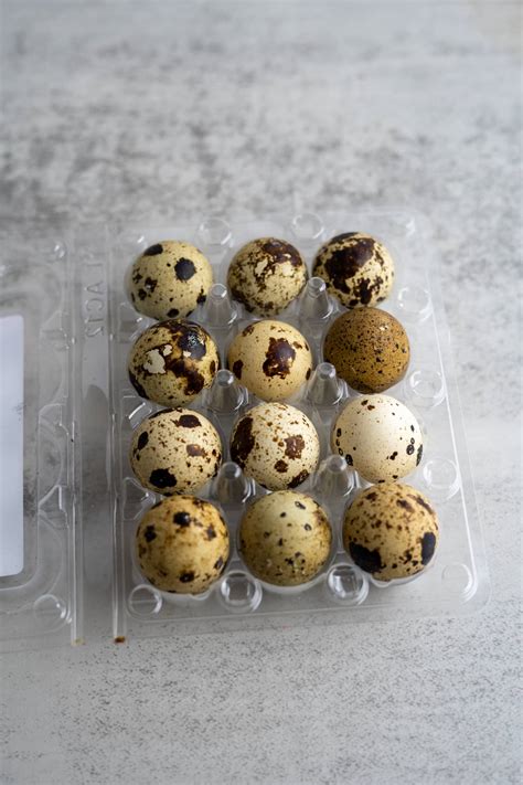 Can Dogs Eat Quail Eggs? - Pawsome Recipes