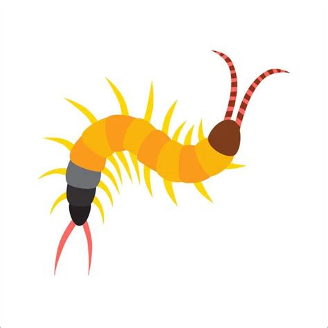 Centipede Stock Vectors, Royalty Free Centipede Illustrations | Depositphotos®