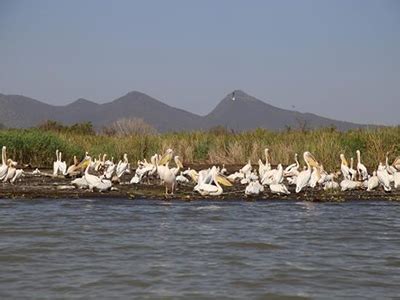 The Great Rift Valley & Lakes