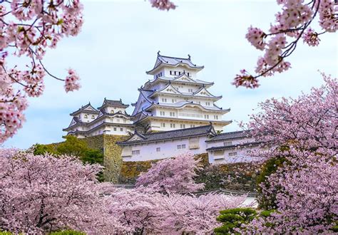 2020/2021 All Top 4 Best Cherry Blossom Spots Guide and Viewing Date in Osaka - Japan Cherry ...