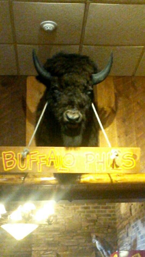 Buffalo Phil's Restaurant in Wisconsin Dells. #big#buffalo | Wisconsin ...