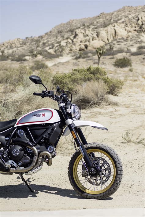 Ducati Scrambler Desert Sled - Got Roost?