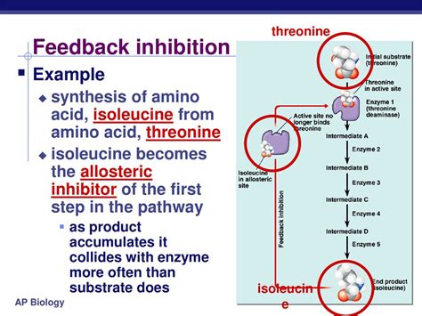 Metabolism & Enzymes ppt download