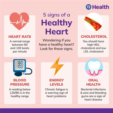 Heart Murmurs: Symptoms, Causes, Types, And Treatment