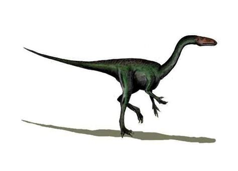 Segisaurus | Description, Size, Fossil, Diet, & Facts