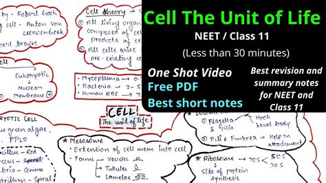 How To Make A Mind Map For Biology - Vrogue