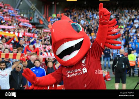 Liverpool football club mascot hi-res stock photography and images - Alamy