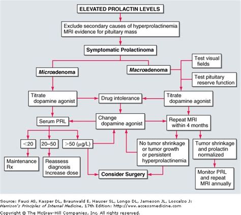 11 best images about Prolactin Levels-Elevated on Pinterest | Type 1 diabetes, Different types ...