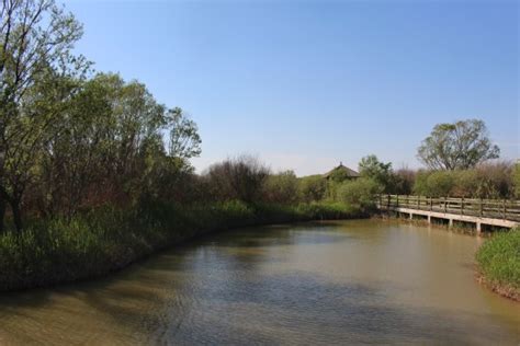 A trip at the mouth of the Yellow River - Review of Dongying Huanghe ...