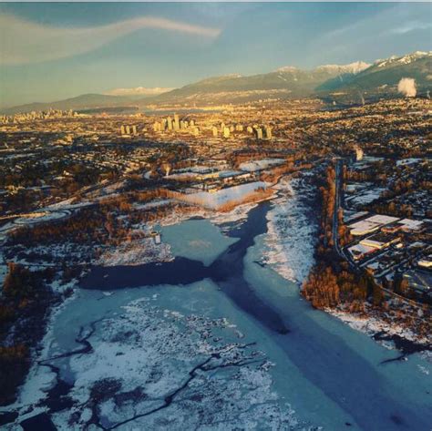 January | 2017 | Burnaby Lake Park Association