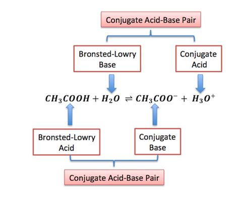 Bronsted-Lowry Acid | Definition, Theory & Examples - Lesson | Study.com