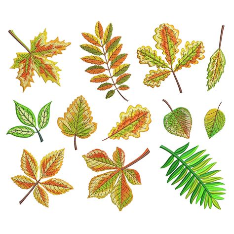 Fall Embroidery Designs Autumn Leaves Machine Embroidery - Etsy