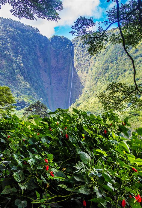 7 Wonders of Hawaii's Waipio Valley That Will Take Your Breath Away ...