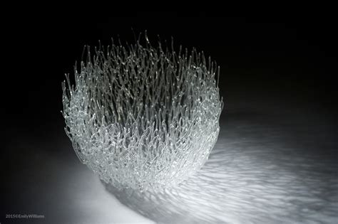 Fragile works of art – Stunning glass sea life sculptures – Vuing.com