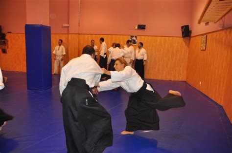 El rincón del Aikido: Crónica y fotos del curso con Maurice Roger en Logroño 2012