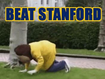 Beat Stanford GIF - Beat Stanford UC Berkeley Oski - Discover & Share GIFs