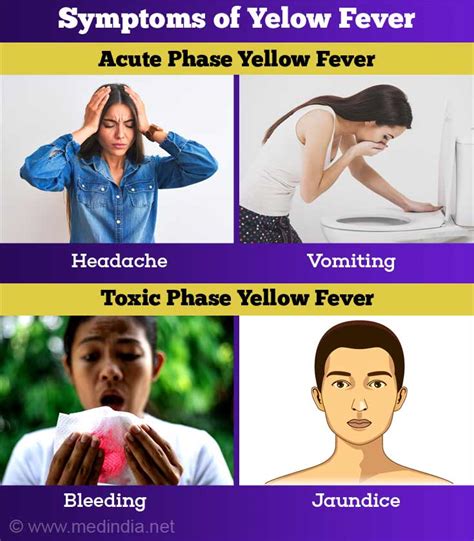 Yellow Fever | Acute Viral Hemorrhagic Fever - Causes, Symptoms, Diagnosis & Treatment