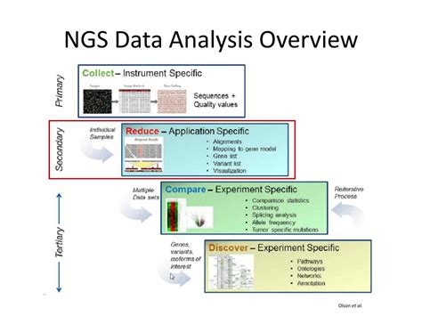 PPT - Introduction To Next Generation Sequencing (NGS) Data Analysis PowerPoint Presentation ...