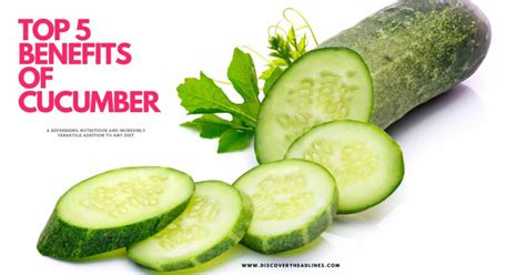 Top 5 Benefits of Cucumber - Discovery Headlines