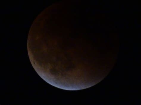 Scene in Edmonds: Supermoon eclipse - My Edmonds News