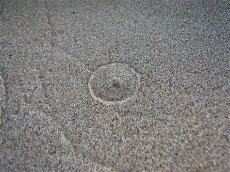Free Images : sand, texture, floor, asphalt, green, soil, material, concrete, gravel, carpet ...