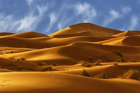 The Major Parts Of The Sahara Desert In Africa - WorldAtlas.com