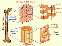 Injection-molded hydroxyapatite/polyethylene bone-analogue biocomposites via structure ...