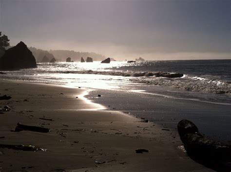 Our beach in Trinidad, CA. | Humboldt county, Beach, Us beaches