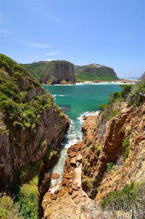 Featherbed Nature Reserve hike in Knysna, South Africa | South africa travel, Visit south africa ...