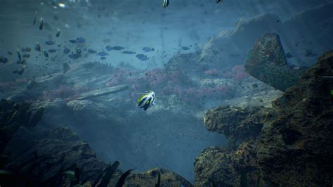 Ocean Floor Environment by Anil Isbilir in Environments - UE4 Marketplace