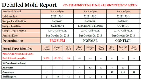 How to Read/Interpret Mold Test Report Results - The Mold Hound